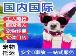 西宁曹家堡空运代理国际宠物托运 【国
